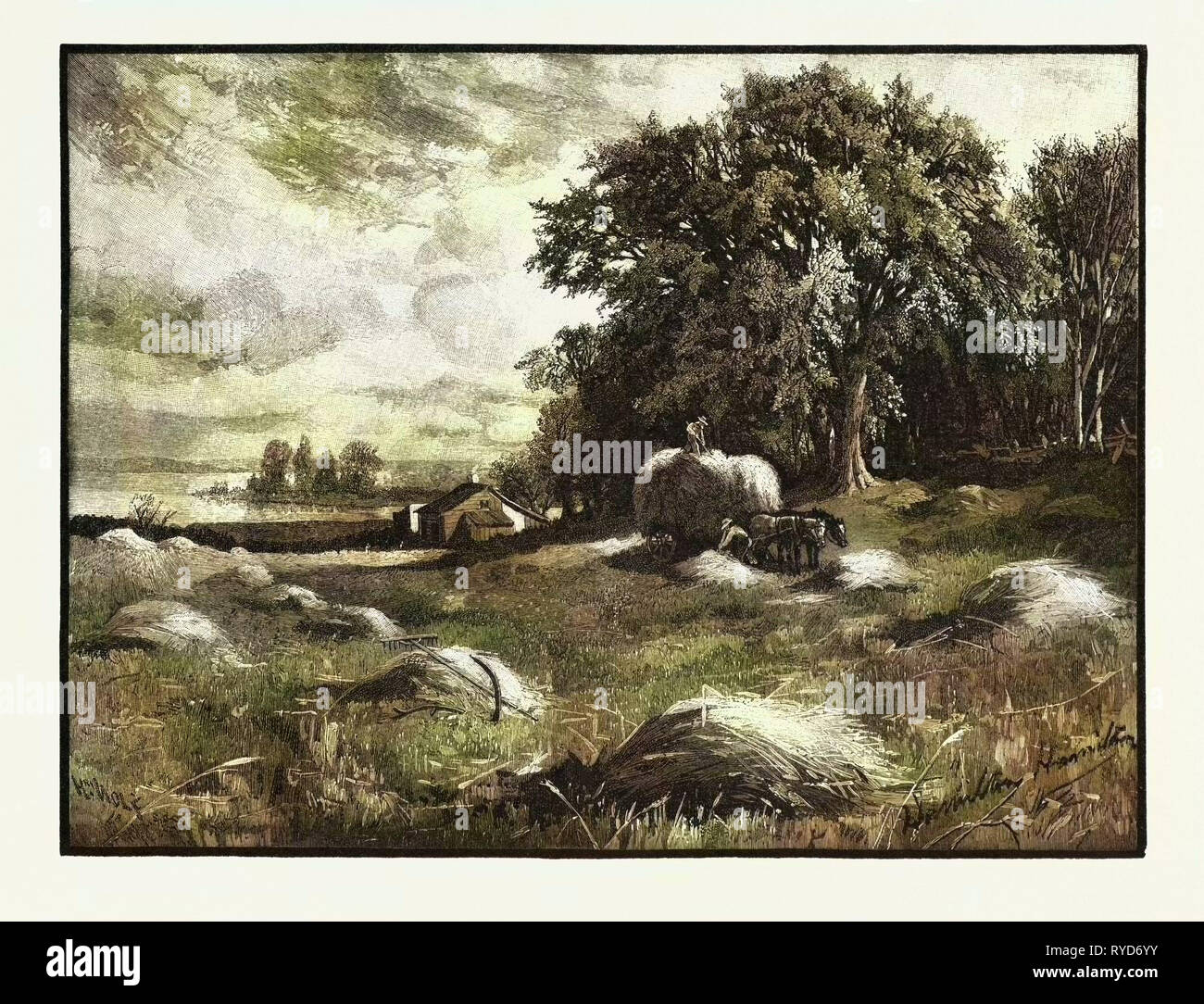 Raccolto di orzo, Canada, diciannovesimo secolo incisione Foto Stock