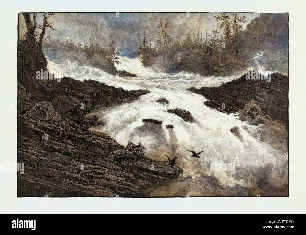 Cascate del Calumet, Canada, diciannovesimo secolo incisione Foto Stock