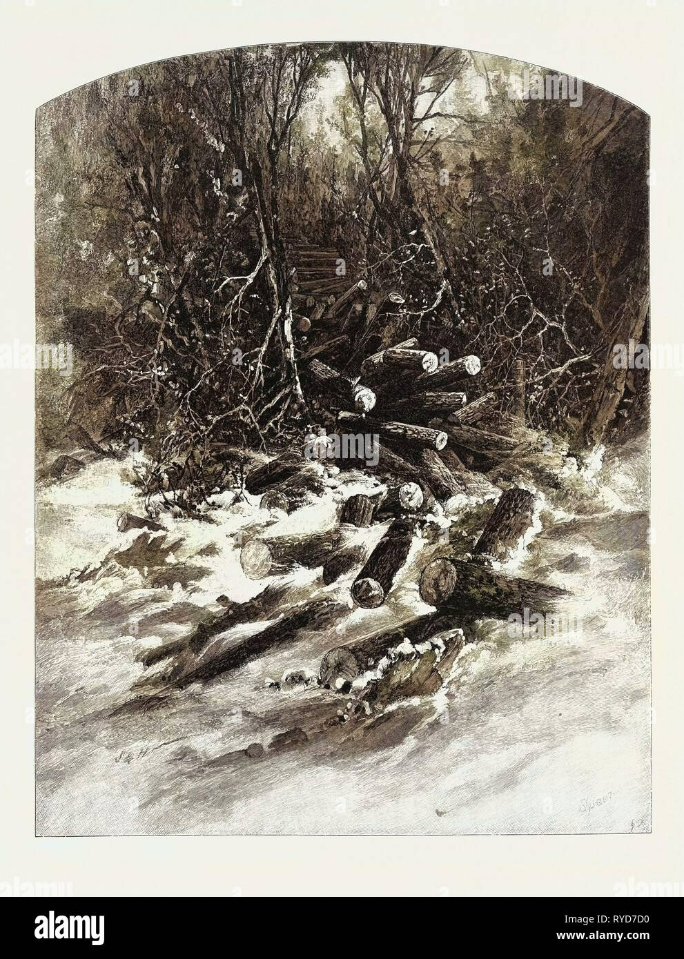 Il Rollway, macchinoso, Canada, diciannovesimo secolo incisione Foto Stock