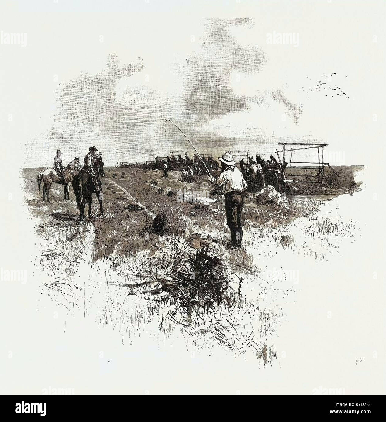 Manitoba, mietitrici, Canada, diciannovesimo secolo incisione Foto Stock