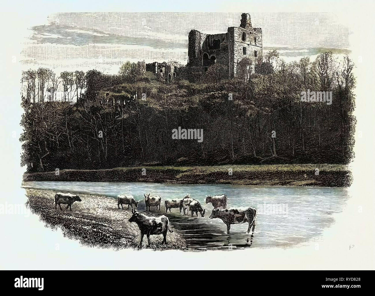 Il castello di Norham, è parzialmente un castello in rovina in Northumberland, Inghilterra, e si affaccia sul fiume Tweed, sul confine tra Inghilterra e Scozia. Regno Unito Foto Stock