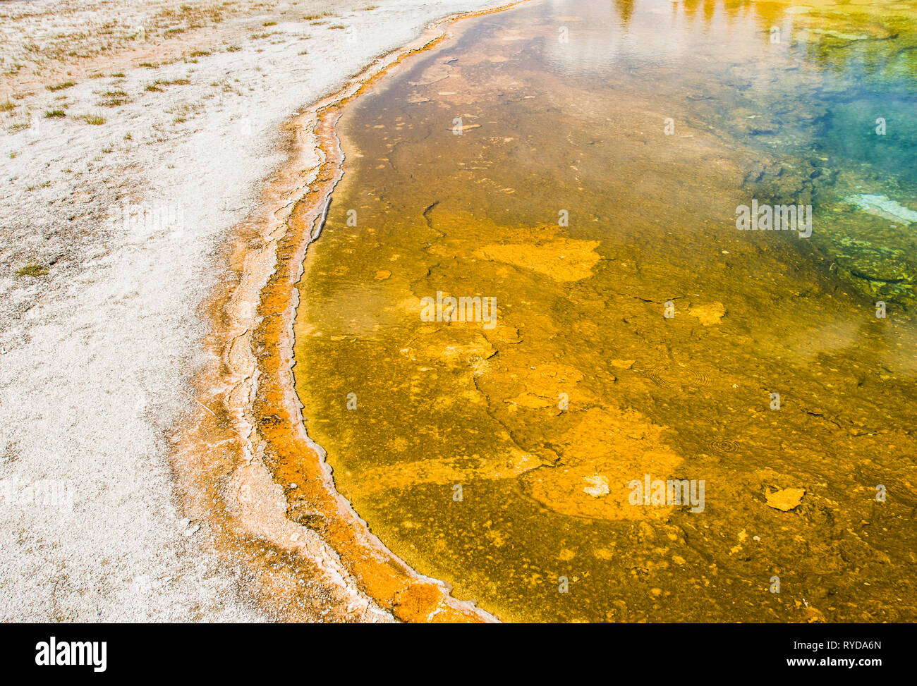 Un particolare colpo di una piscina geotermica di Geyser Basin, il Parco Nazionale di Yellowstone, Wyoming negli Stati Uniti. Foto Stock