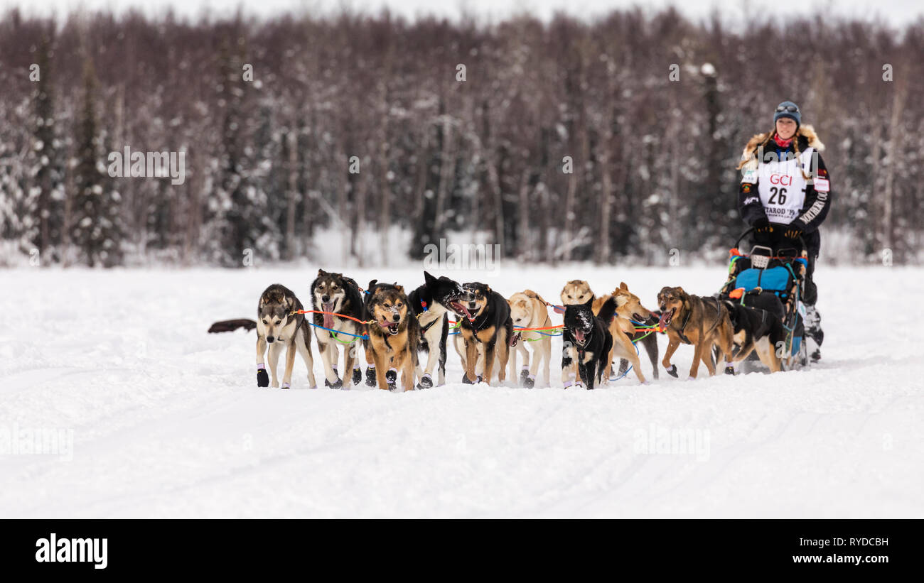 Musher Kristy Berington dopo il riavvio a Willow xlvii sentiero Iditarod Sled Dog Race in Alaska centromeridionale. Foto Stock