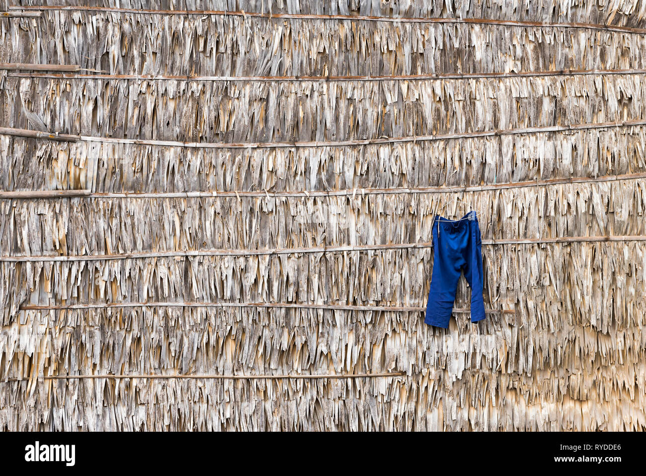 Pantaloni blu contro un nipa palm e lo sfondo di bambù Foto Stock