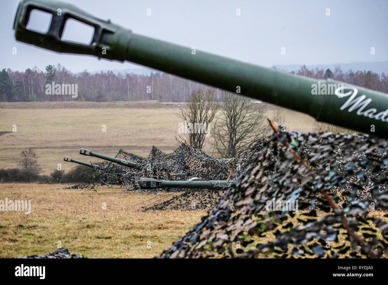Ungherese linea di artiglieria fino a fuoco nella zona di impatto di Grafenwoehr Area Formazione, 5 marzo 2019 durante un esercizio anteriore dinamico 19. Ciascuna pistola commemora un ungherese eroe di guerra della pittura con il loro nome sulla loro barili. Esercizio anteriore dinamico 19 comprende circa 3.200 membri del servizio da 27 nazioni che stanno osservando o partecipare da Grafenwoehr Area Formazione, Germania; Riga, Lettonia; e Torun, Polonia; durante il 2-9 marzo, 2019. Dynamic Front è un annuale U.S. Esercito in Europa è stata incentrata sulla preparazione e l'interoperabilità di U.S. Esercito, servizio comune, e alleati e nazioni partner' un Foto Stock