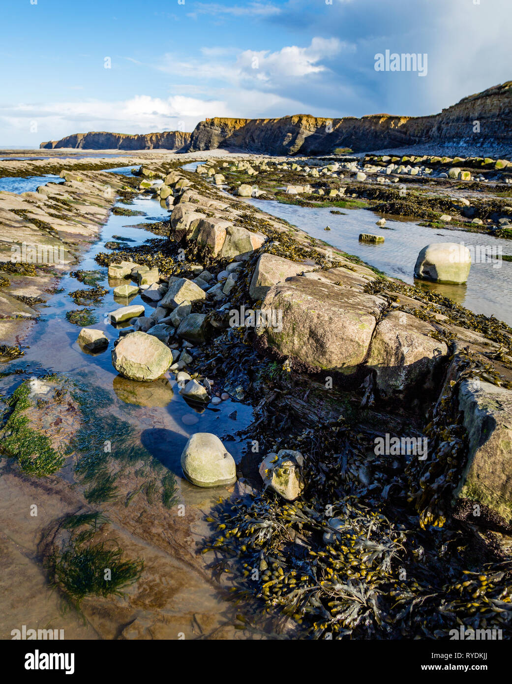 Curvo ed inclinato letti Lias sulla spiaggia a Kilve su Jurassic Coast del Somerset REGNO UNITO guardando verso Hinkley Point Foto Stock