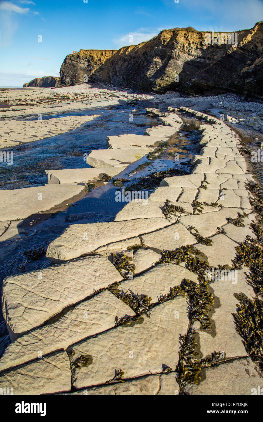 Curvo ed inclinato letti Lias sulla spiaggia a Kilve su Jurassic Coast del Somerset REGNO UNITO guardando verso Hinkley Point Foto Stock
