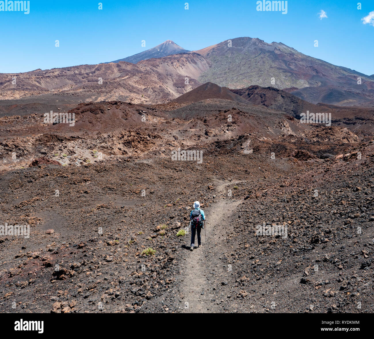 Walker nel desolato paesaggio vulcanico sotto il monte Teide Tenerife nelle isole Canarie Foto Stock