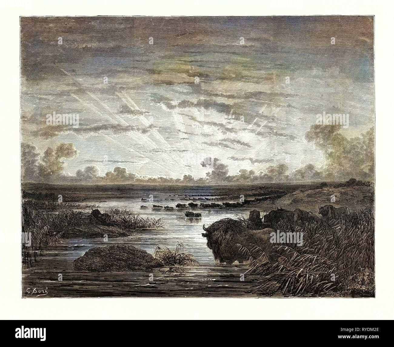 La Mississippi savane, da Gustave Doré, 1832 - 1883, francese. Incisione per Atala da Chateaubriand. Arte, artista, romanticismo, Colore, incisione a colori Foto Stock