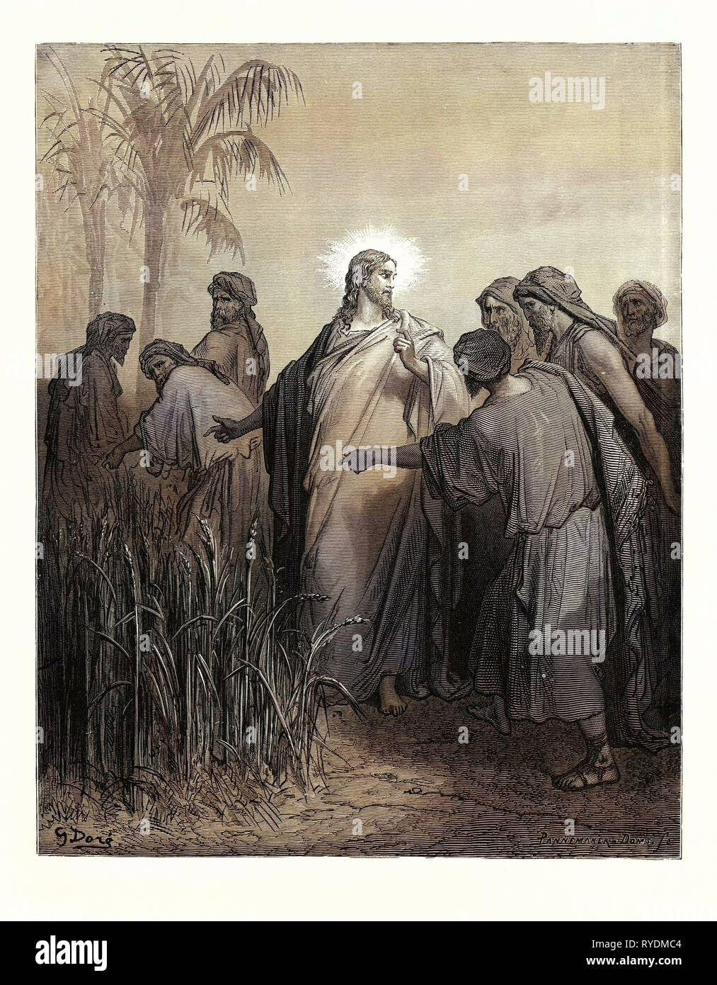 Gesù e i suoi discepoli nel campo di grano, da Gustave Doré, 1832 - 1883, francese. Incisione per la Bibbia. 1870, arte, artista, Libro Sacro, Religione, religiosi, il cristianesimo, cristiano, romanticismo, Colore, incisione a colori Foto Stock