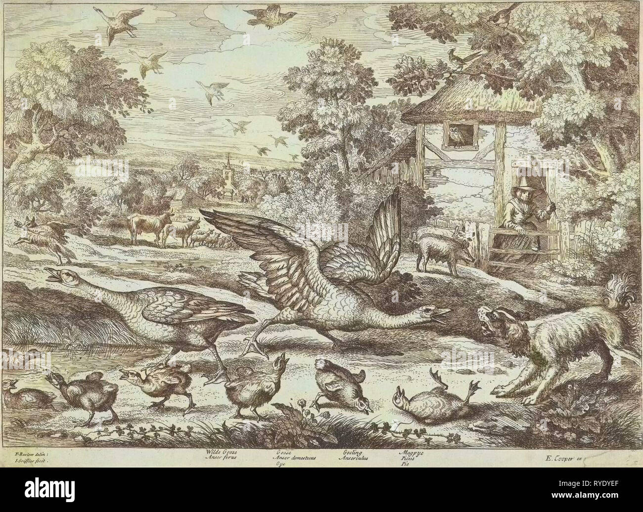 Paesaggio con due oche difendere i loro giovani, stampa maker: Jan Griffier I, Francesco Barlow, Edward Cooper, 1655 - 1718 Foto Stock