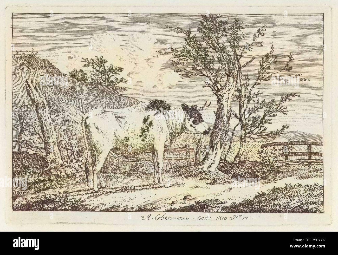 Bull in un paesaggio, Anthony Oberman, 1810 Foto Stock