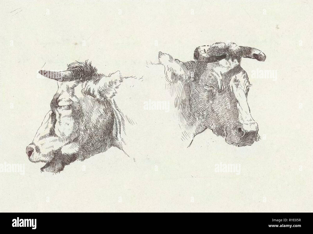 Due capi di bestiame, Gerard Bilders, 1848 - 1865 Foto Stock
