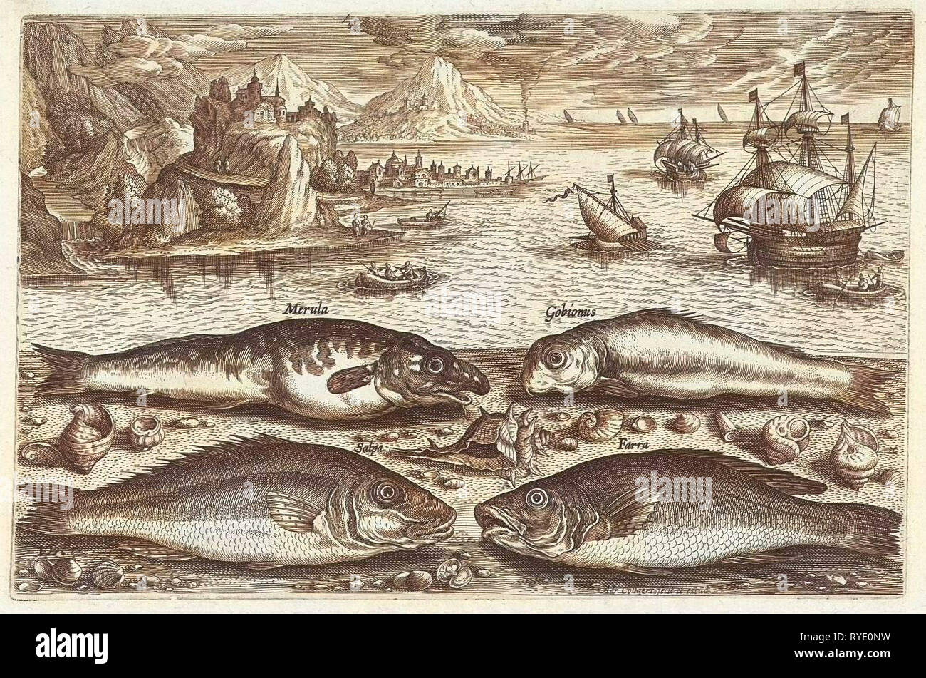 Quattro pesci sulla spiaggia, Adriaen Collaert, dopo 1595 - 1618 Foto Stock