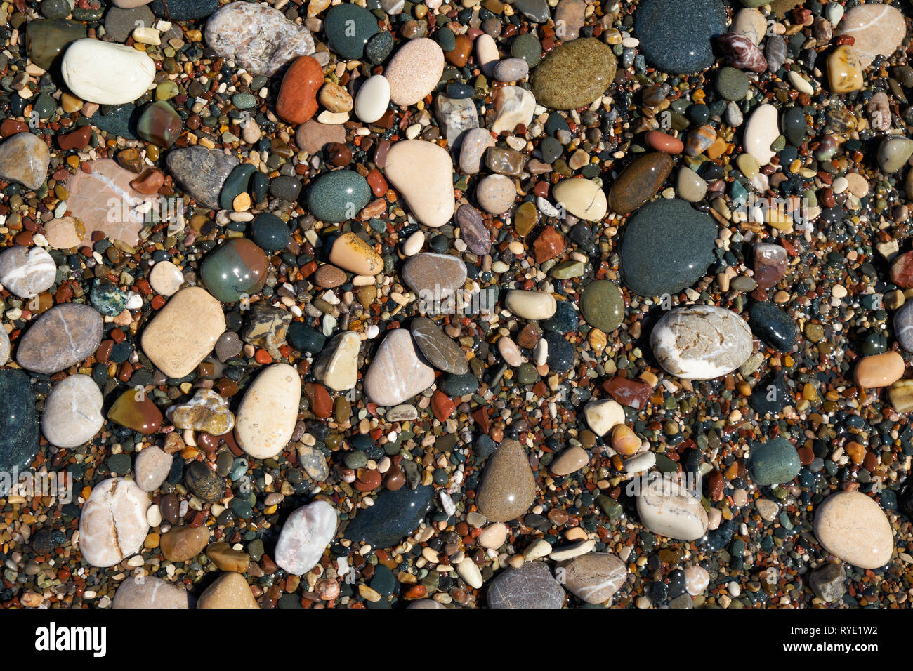 Bagnato pietre ghiaia in acqua su Petra tou Romiou o Aphrodite la spiaggia di roccia, Cipro. Stone sfondo naturale. Foto Stock