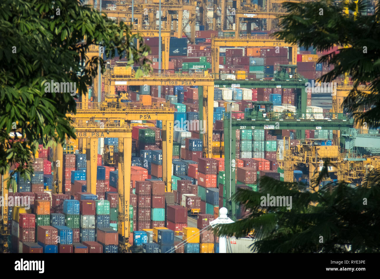Molti contenitori di spedizione impilati in PSA International Terminal di spedizione, uno dei più grandi del mondo - Singapore Foto Stock
