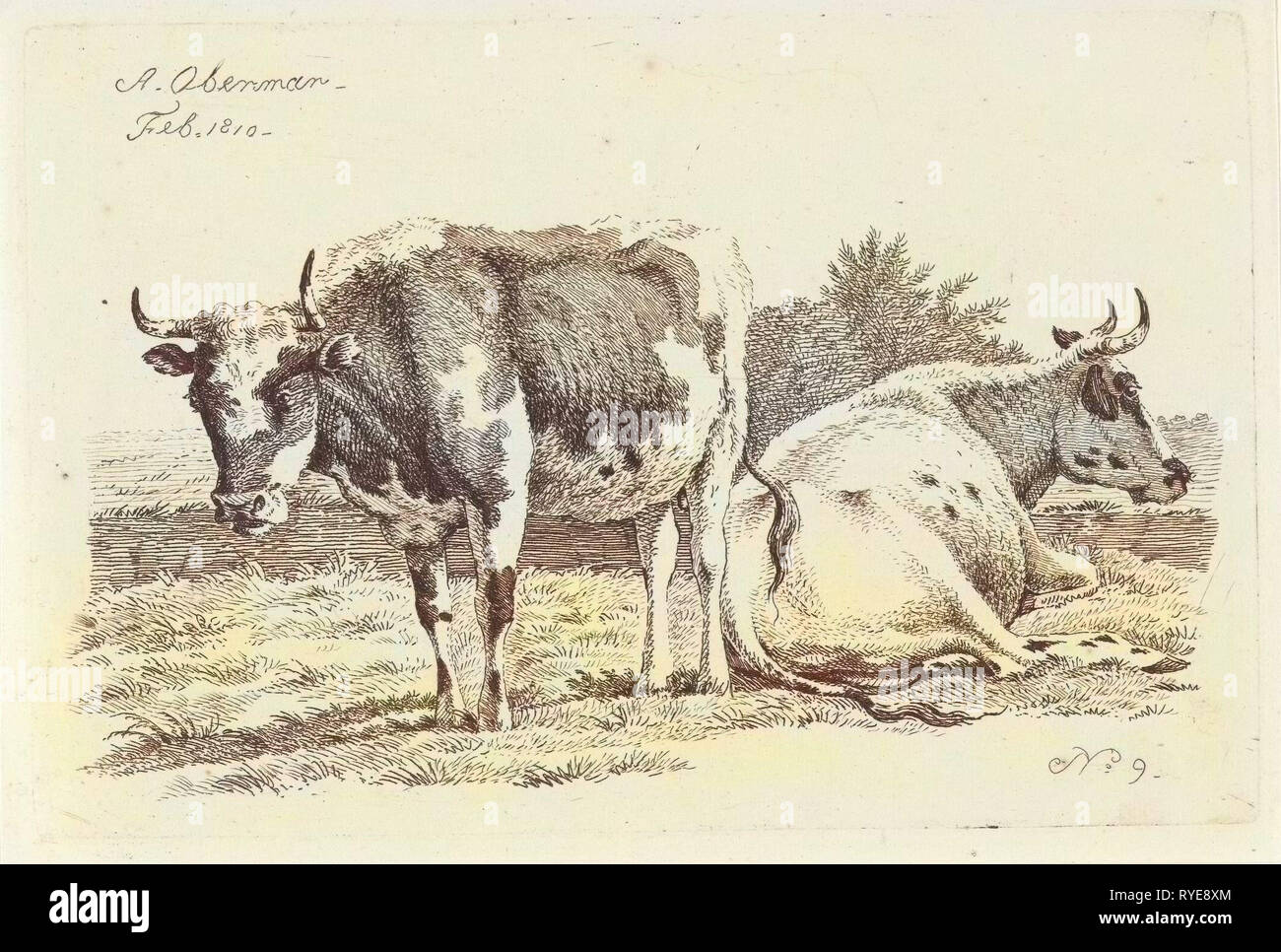 Montante e giacente mucca, Anthony Oberman, 1810 Foto Stock