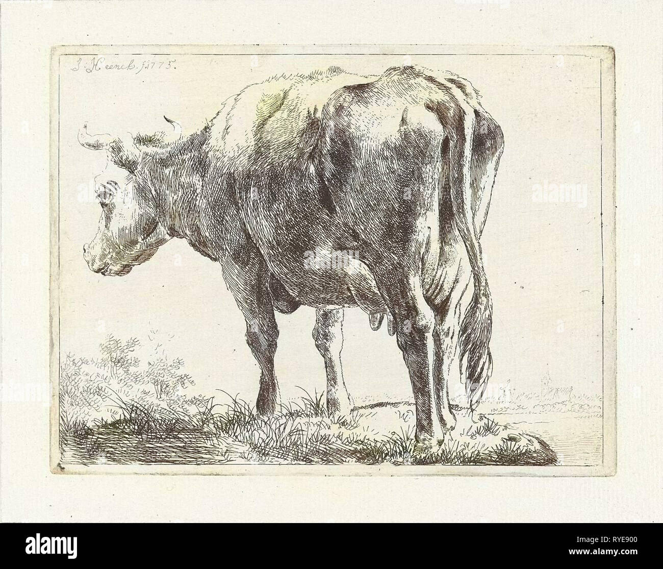 Vacca permanente, Jabes Heenck, 1775 Foto Stock