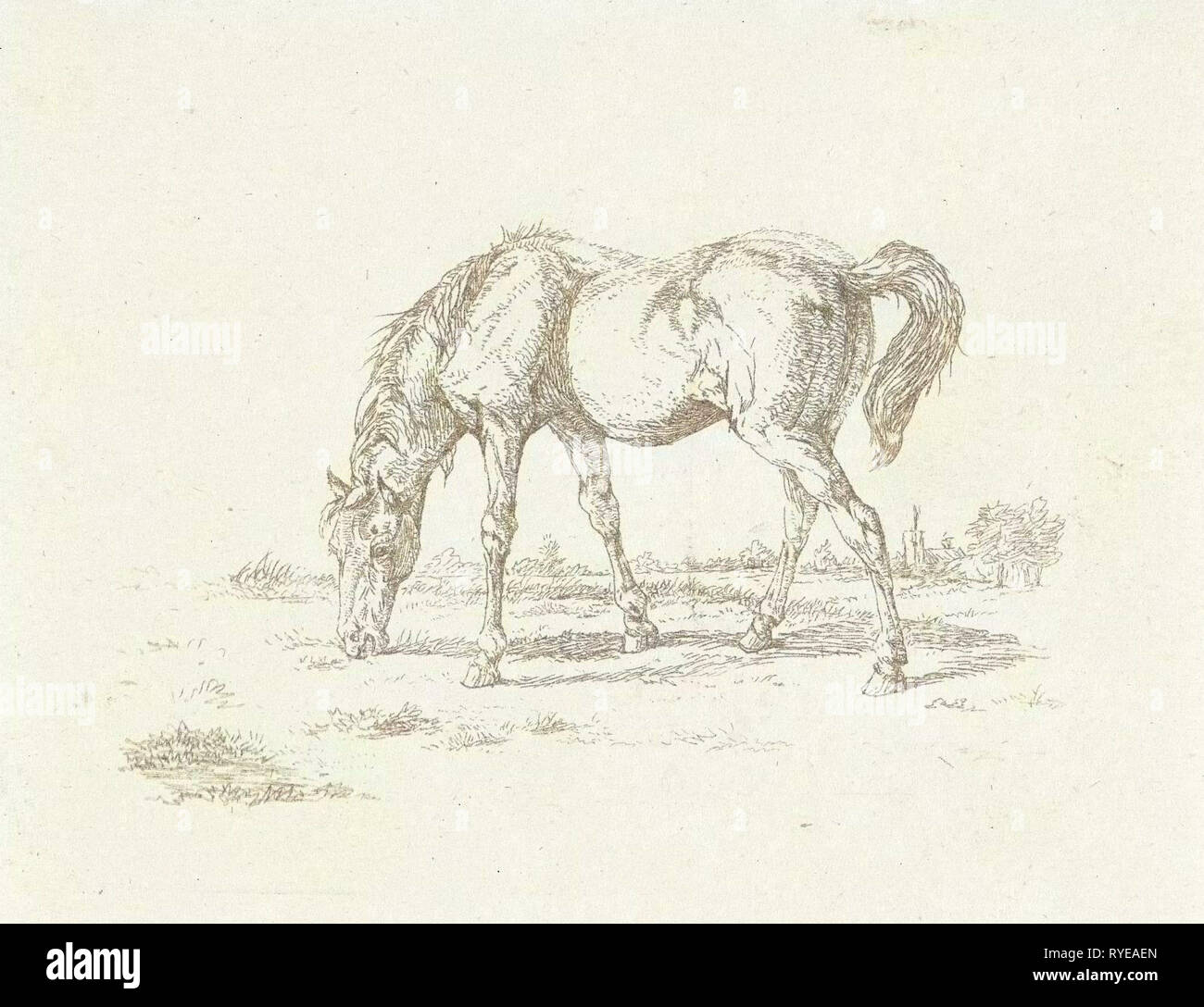 Cavallo al pascolo a destra, Jan Dasveldt, 1780 - 1855 Foto Stock
