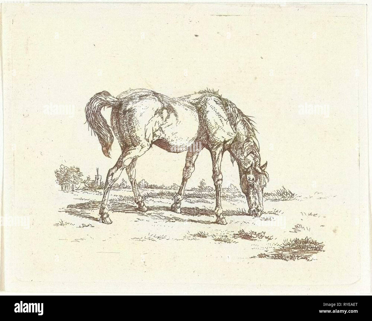 Cavallo al pascolo a destra, Jan Dasveldt, 1780-1855 Foto Stock