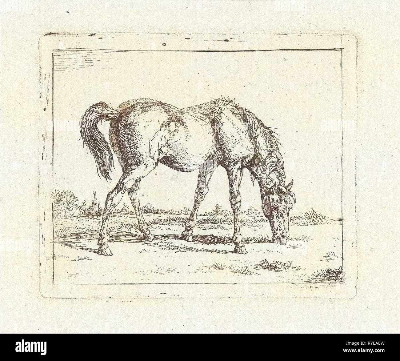 Cavallo al pascolo a destra, Jan Dasveldt, 1780 - 1855 Foto Stock