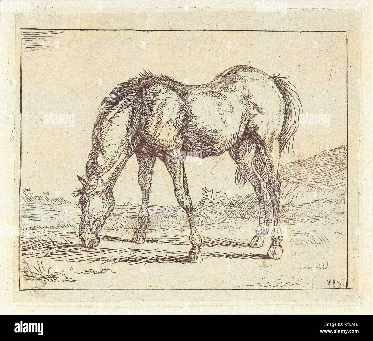 Cavallo al pascolo a sinistra, Jan Dasveldt, 1780 - 1855 Foto Stock