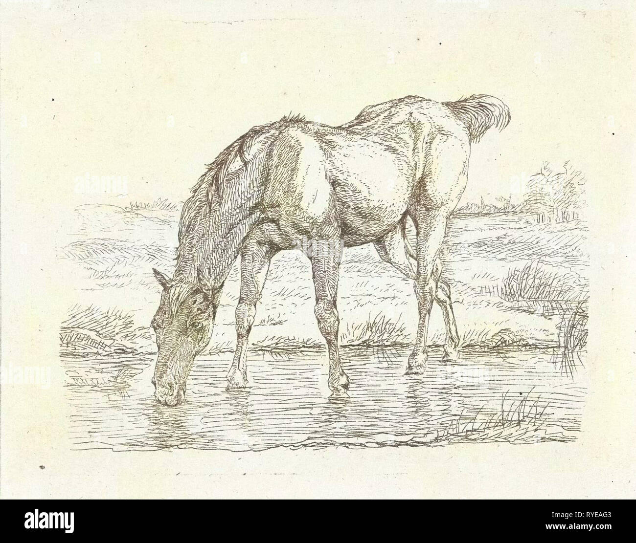 Bere il cavallo, Jan Dasveldt, 1780-1855 Foto Stock