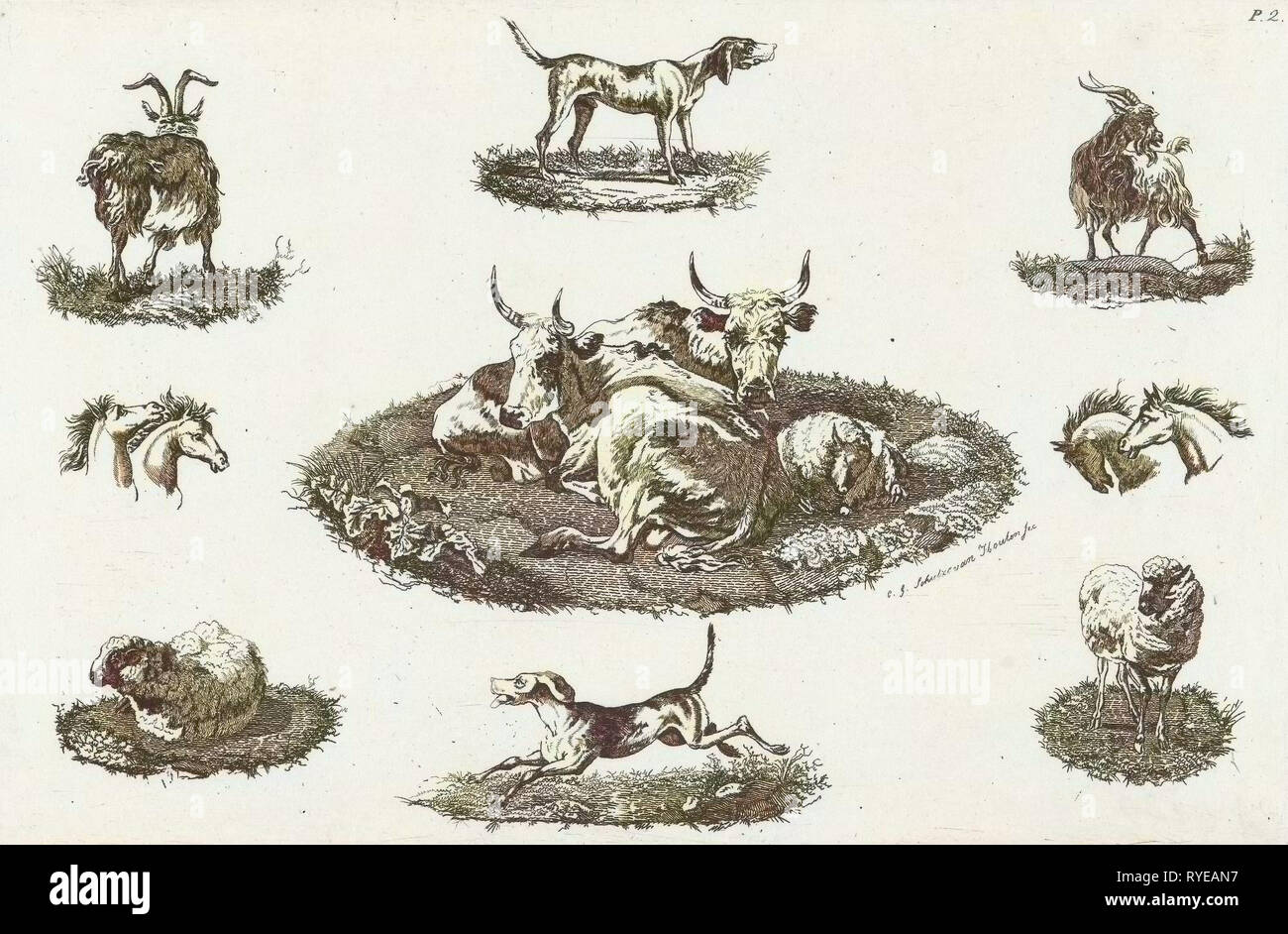 Due mucche, pecore e altri animali, Christiaan Godfried Schutze van Houten, 1821-1869 Foto Stock