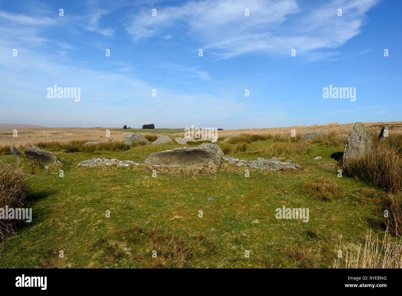 Carn Llechart stone circle Ring Cairn tardo neolitico o età del Bronzo Antico cerchio Pontardawe Glamorgan Galles Cymru REGNO UNITO Foto Stock