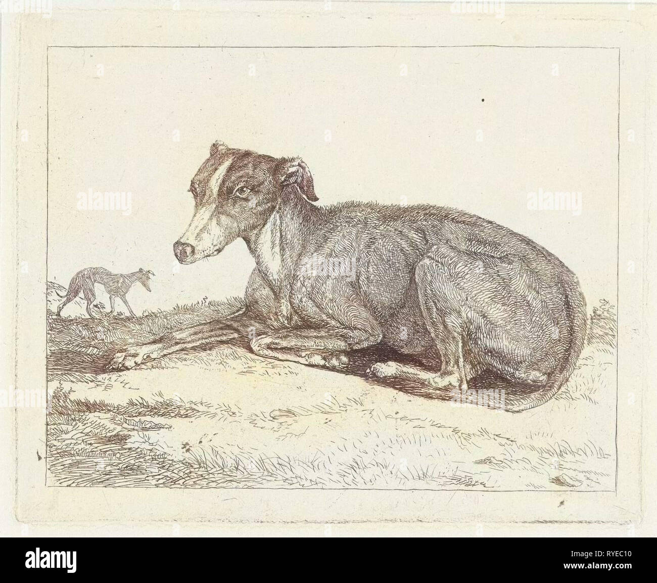 I levrieri, Jan Dasveldt, 1780 - 1855 Foto Stock