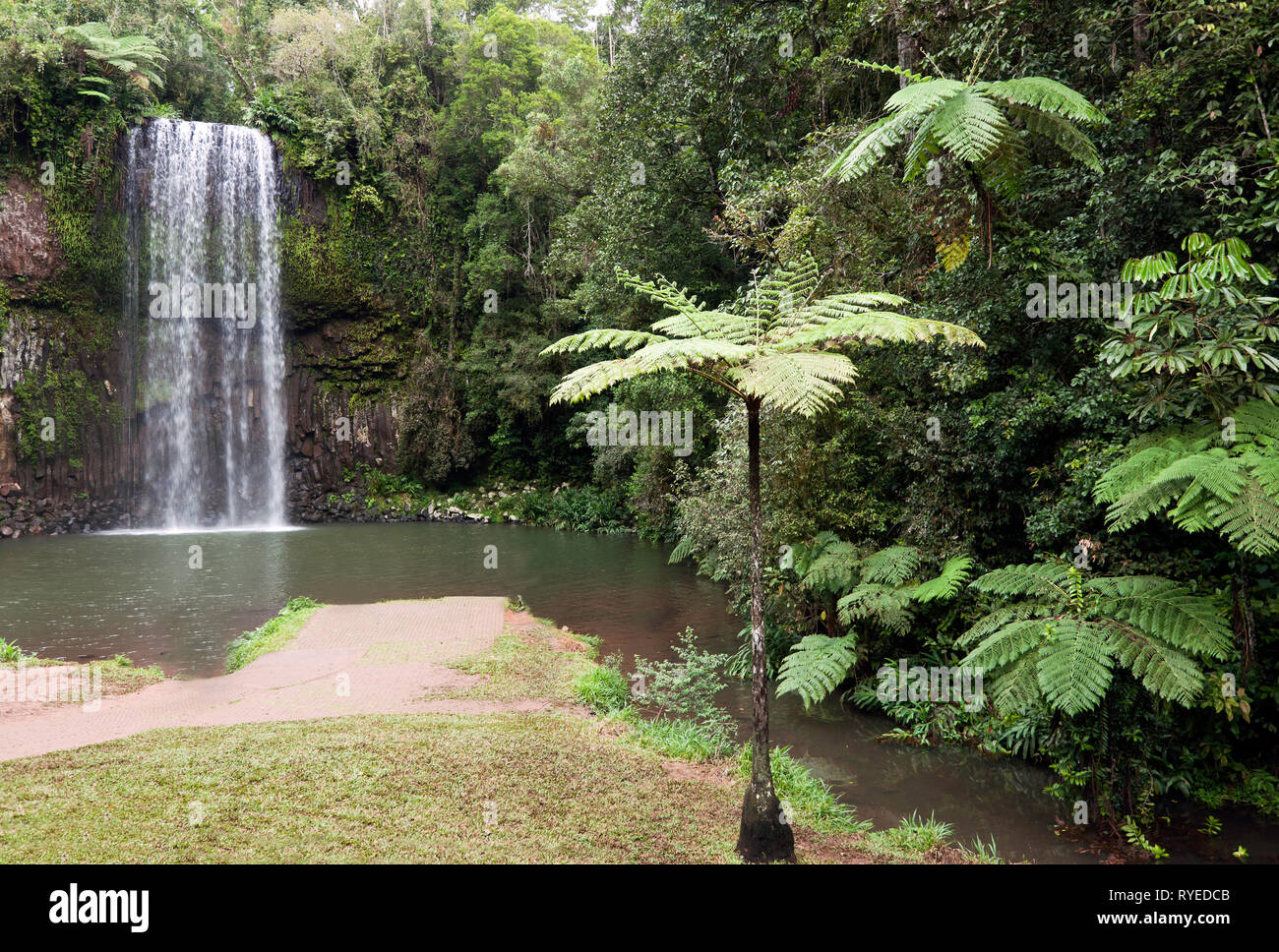 Ampio angolo di visione del Millaa Millaa Falls a Teresa Creek Road, Millaa Millaa, altopiano di Atherton, Regione del Nord del Queensland, Australia. Foto Stock