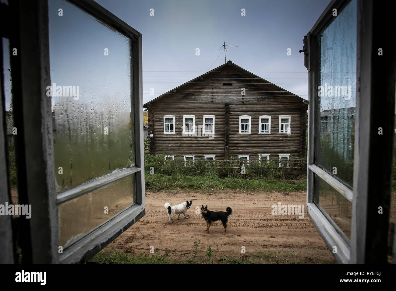 Vista interessante attraverso la pioggia opener finestra sulla strada rurale del villaggio russo di bianco e nero con i cani randagi in pausa per guardare il onloo Foto Stock