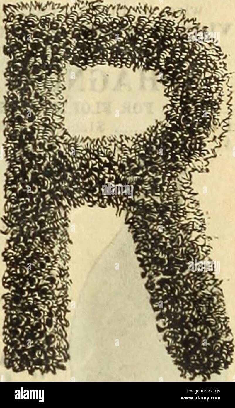 E. H. Hunt catalogo1895ehhuntscatalog ehhu Anno: 1895 questa ...
