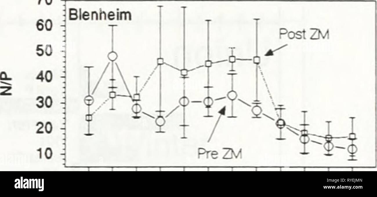 Effetti delle zebra mussels su clorofilla, azoto, fosforo e silice in North Shore acque del lago Erie effectsofzebramu00ontauoft Anno: 1997 1 2 3 4 5 6 7 8 9 10 11 12 Mese 80 -Rosehill 60 â 40 - 20 .PostZM 5-&lt;L pre-JM 1 1 2 3 4 5 6 7 8 9 10 11 12 Mese 70 ^â -Blenheim 60 i J 1 2 3 4 5 6 7 8 9 10 11 12 Mese 80 60 40 - 20 Dunnville k PostZM 'M y ,/^-^H-2-L; 5-^-5. Pre Z^" 1 2 3 4 5 6 7 8 9 10 11 12 Mese figura. 9. Mezzi mensile + 1 San Dev. totale di N--totale rapporti P in corrispondenza dei cinque Lago Erie posizioni di aspirazione durante il pre- (1984-87) e post (1990- 94) zebra mussel periodi di tempo. 11 Foto Stock