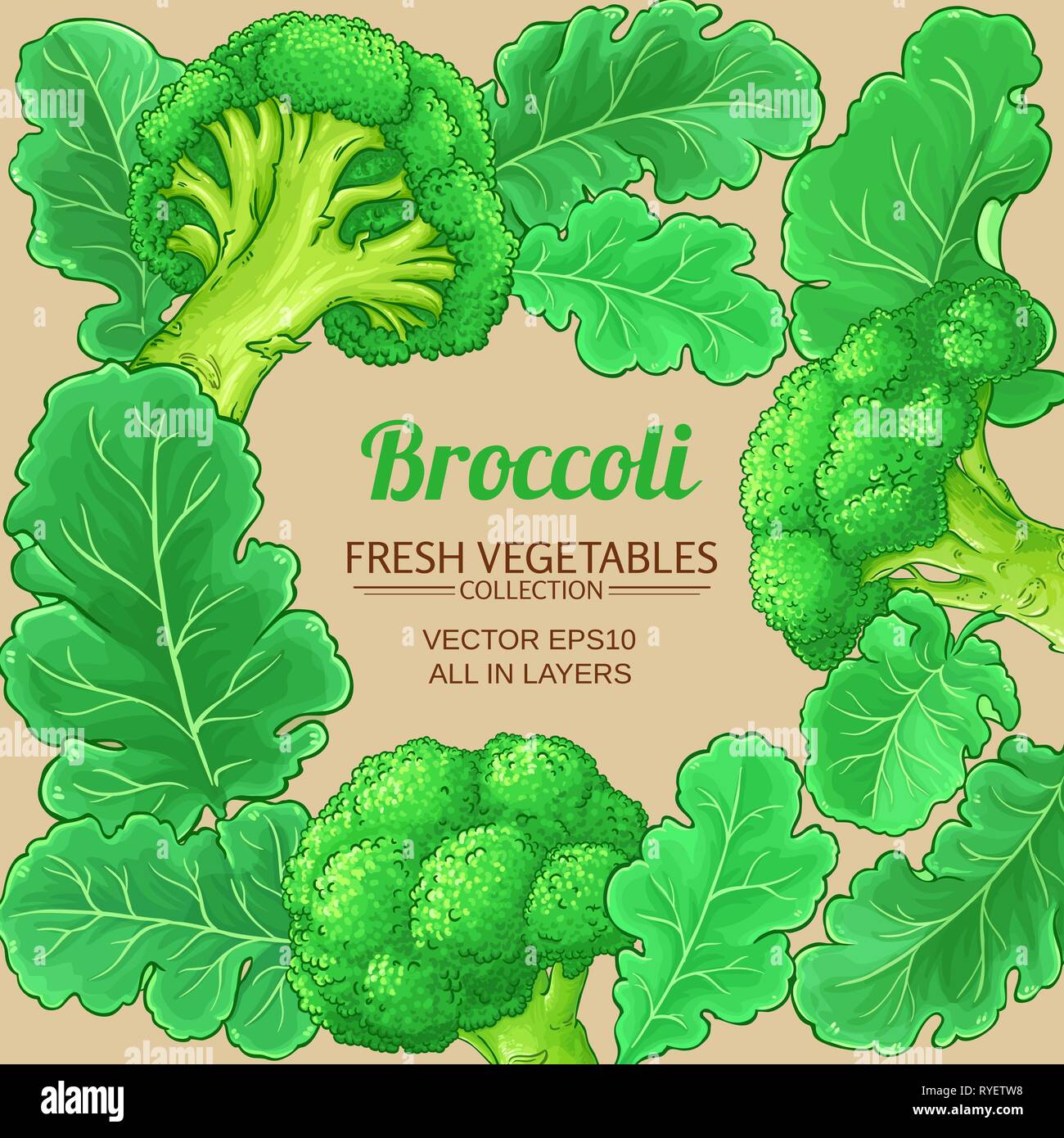 Vettore di broccoli telaio sul colore di sfondo Illustrazione Vettoriale