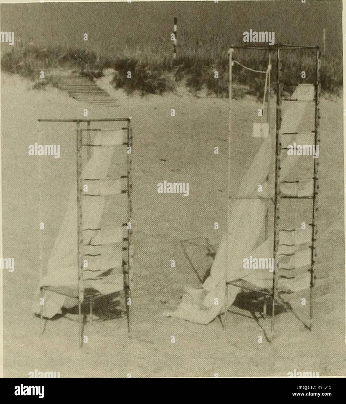 DUCK85 zona surf sabbia esperimento di trasporto duck85surfzonesa00krau Anno: 1989 figura 6. Streamer trappole utilizzate a DUCK85 tipi di rack (Kraus 1987), e l'ottimizzazione della trappola geometria dell'ugello (Rosati e Kraus 1988, rosati e Kraus in preparazione). Streamer ugelli sono stati montati verticalmente su rack in acciaio inox e sottolineato nella direc- zione del flusso in modo tale che essi si trovavano in avanti del rack e qualsiasi decapare le nubi prodotte dalla cremagliera e trappola operatore. Osservazione visiva durante il funzionamento indicato che sgommati sabbia presso la cremagliera non si sposta a monte e nella streamers. Colle di dati Foto Stock