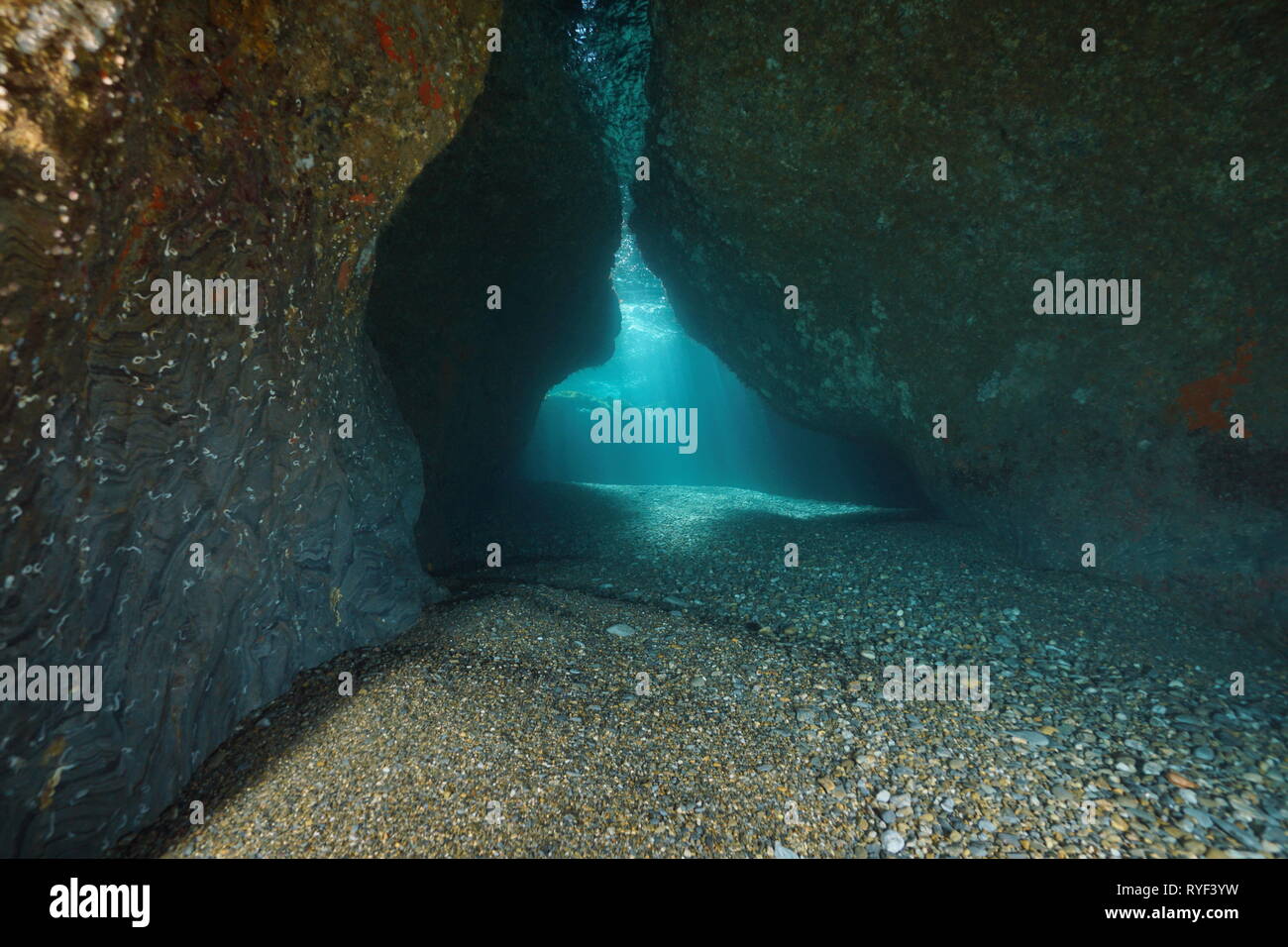 All'interno di una grotta poco profonda sott'acqua nel mare Mediterraneo, scenario naturale, Francia Foto Stock
