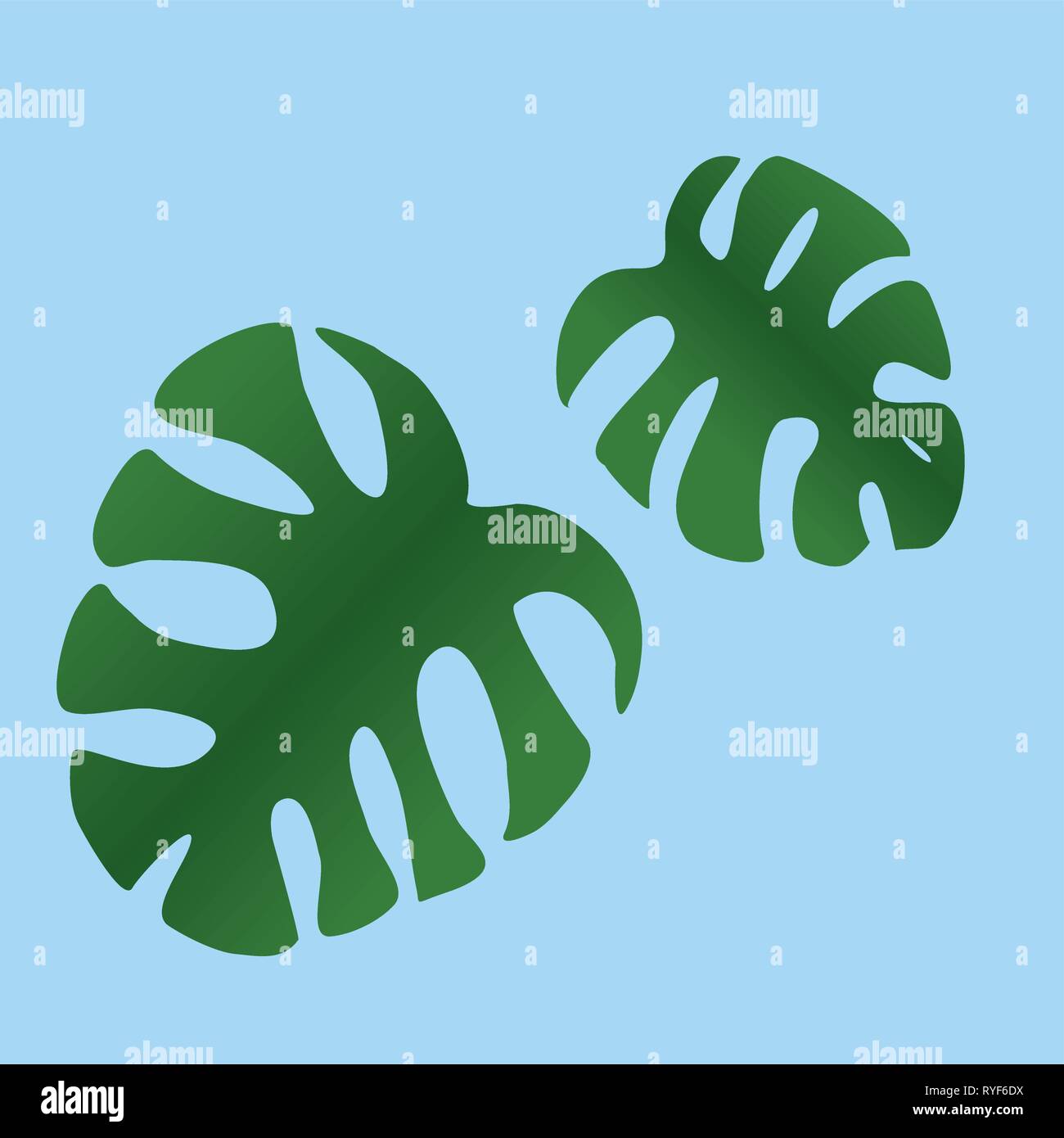 Due le verdi foglie di monstera deliciosa impianto su uno sfondo blu Illustrazione Vettoriale