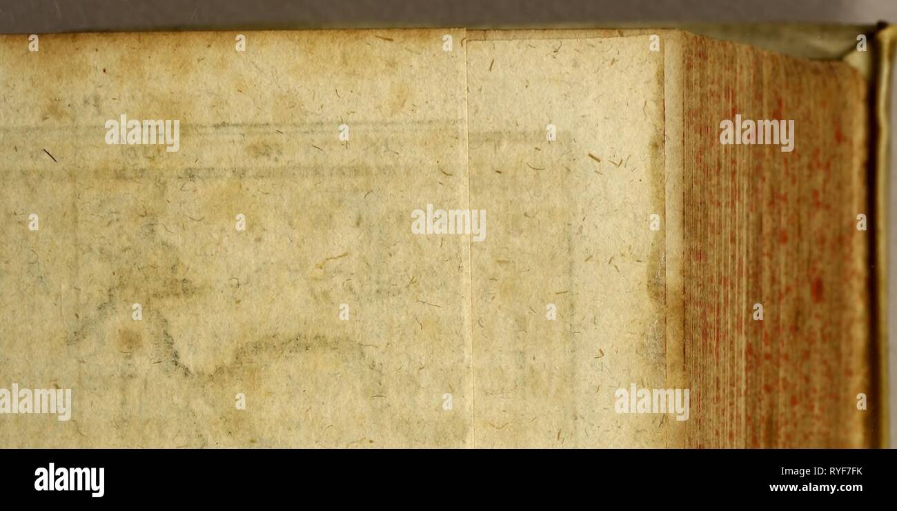 Dritter Theil der Reisen Herrn Wilhelm Dampier, : englischen Capitains zur vedere nach der südlichen Ländern, Neu-Holland così er im Jahr 1699, gethan, worinen eine Beschreibung der Insuln Canarischen, ingleichen der Insuln Mayo u. S. Jago; wie auch der Bucht aller Heiligen, der Festungen und Stadt Bahia in Brasilien, nebst merckwürdigen andern Dingen mehr, zu finden. Welchem beygefüget worden: Herrn Leonel wafer, eines englischen Chirurgi, Reise und Beschreibung des Isthmi oder Erd-Enge Darien in Americâ. drittertheilderr00smorzare Anno: 1707 Foto Stock