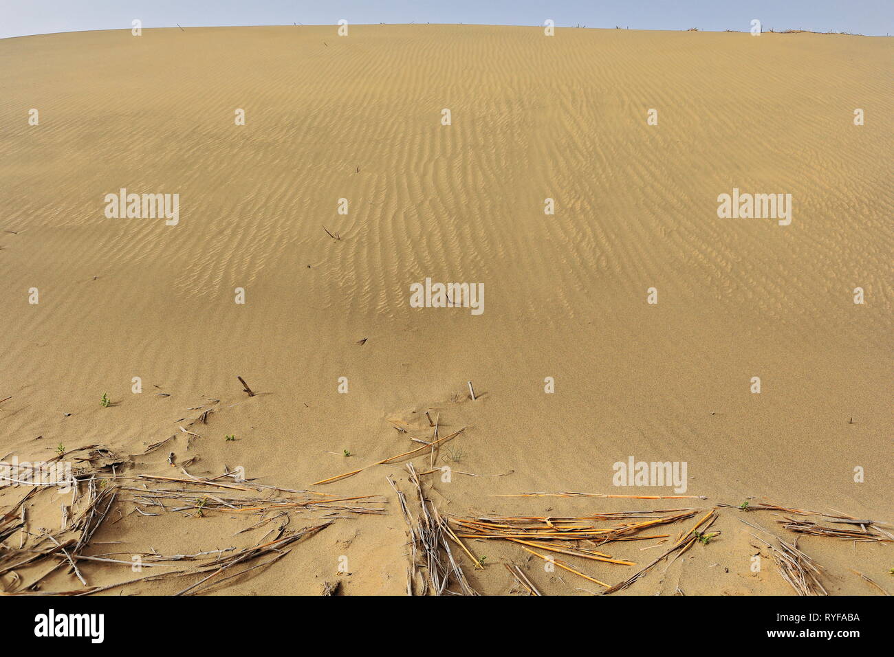 Spostamento dune di sabbia-deserto Takla Makan. Hongkang-Xinjiang Uyghur regione-Cina-0001 Foto Stock