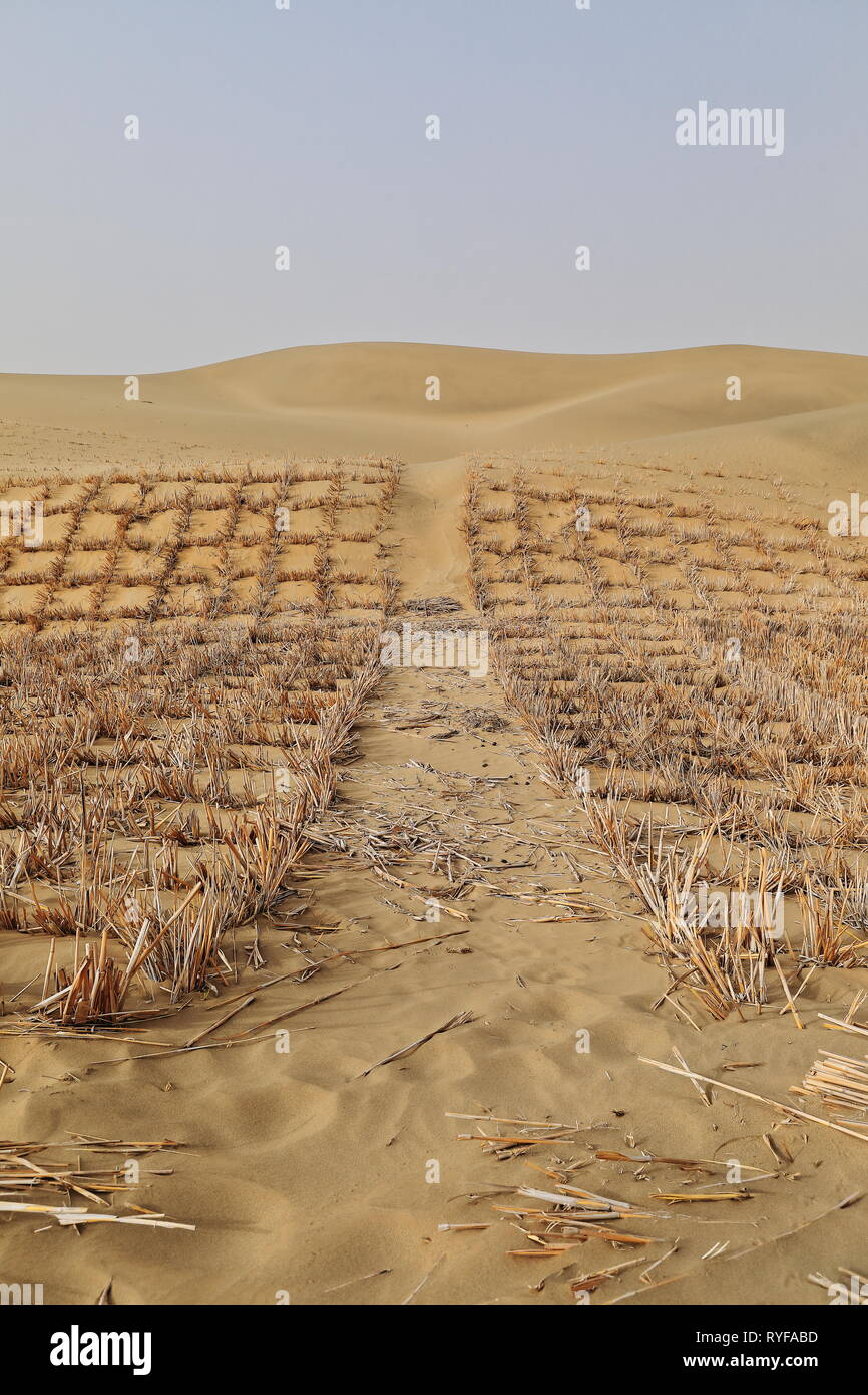 Scacchiera e barriere di controllo della sabbia. Hongkang-Xinjiang Uyghur regione-Cina-0003 Foto Stock