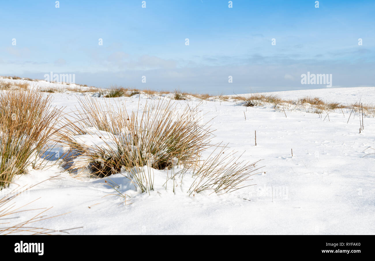 Snowy scena nel parco nazionale di Peak District Foto Stock