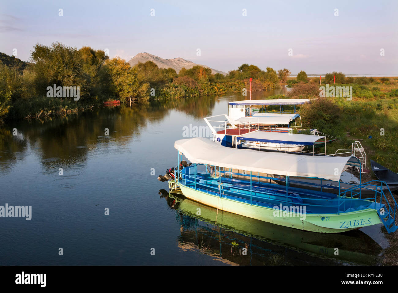 Il Lago di Scutari da Virpazar, Montenegro Foto Stock