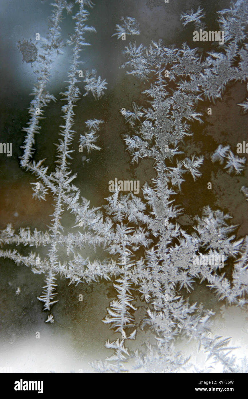 Bella di cristalli di ghiaccio formando strutture su una finestra a freddo in inverno, una cristallinità opera d'arte da madre natura Foto Stock
