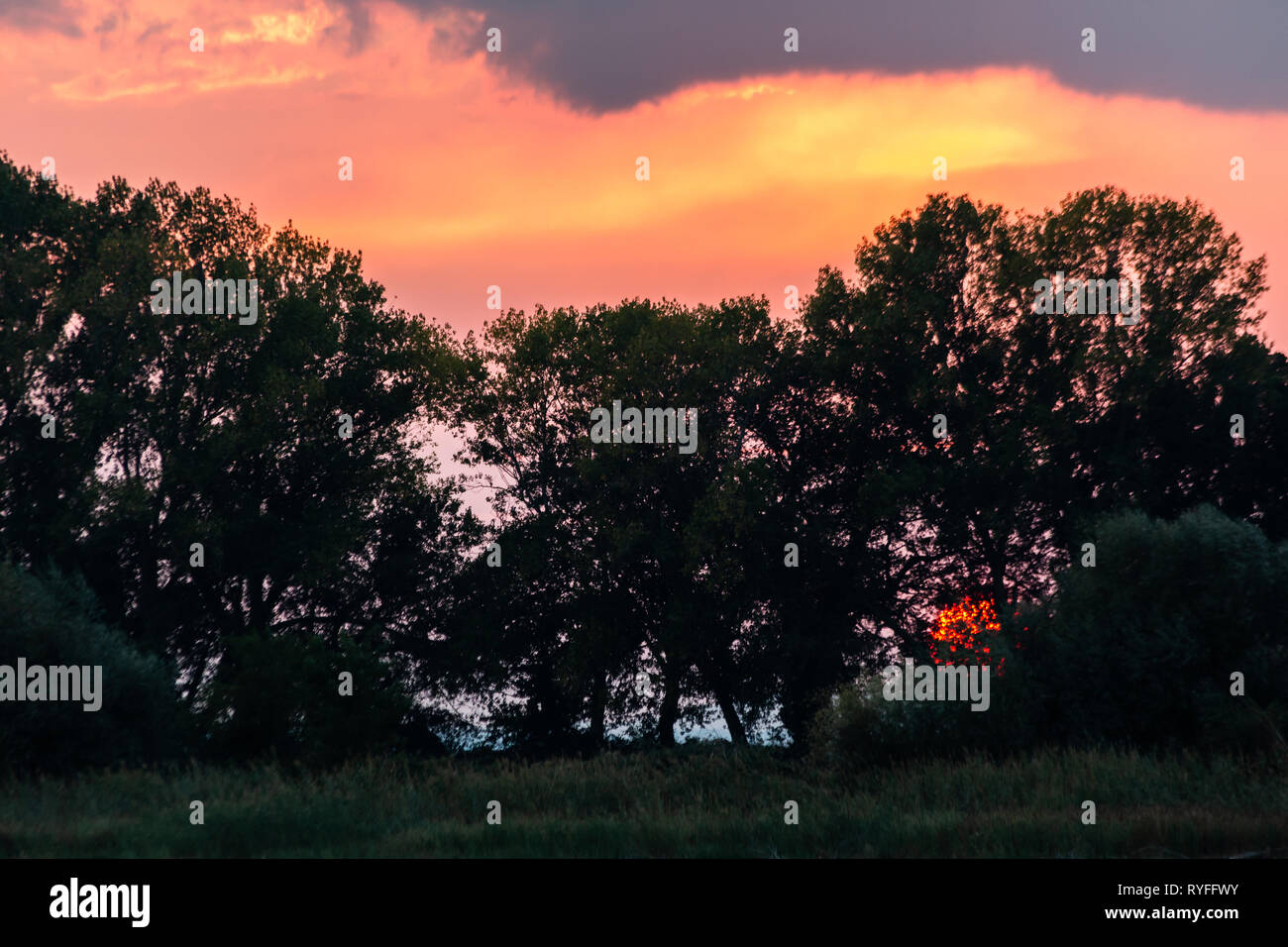 Tramonto con sun scendendo alcuni alberi silhouette e un bellissimo cielo colorato Foto Stock
