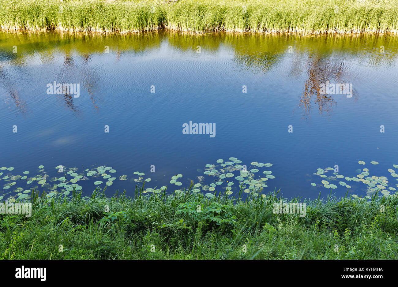 Estate fiume Ros paesaggio rurale, Ucraina Foto Stock