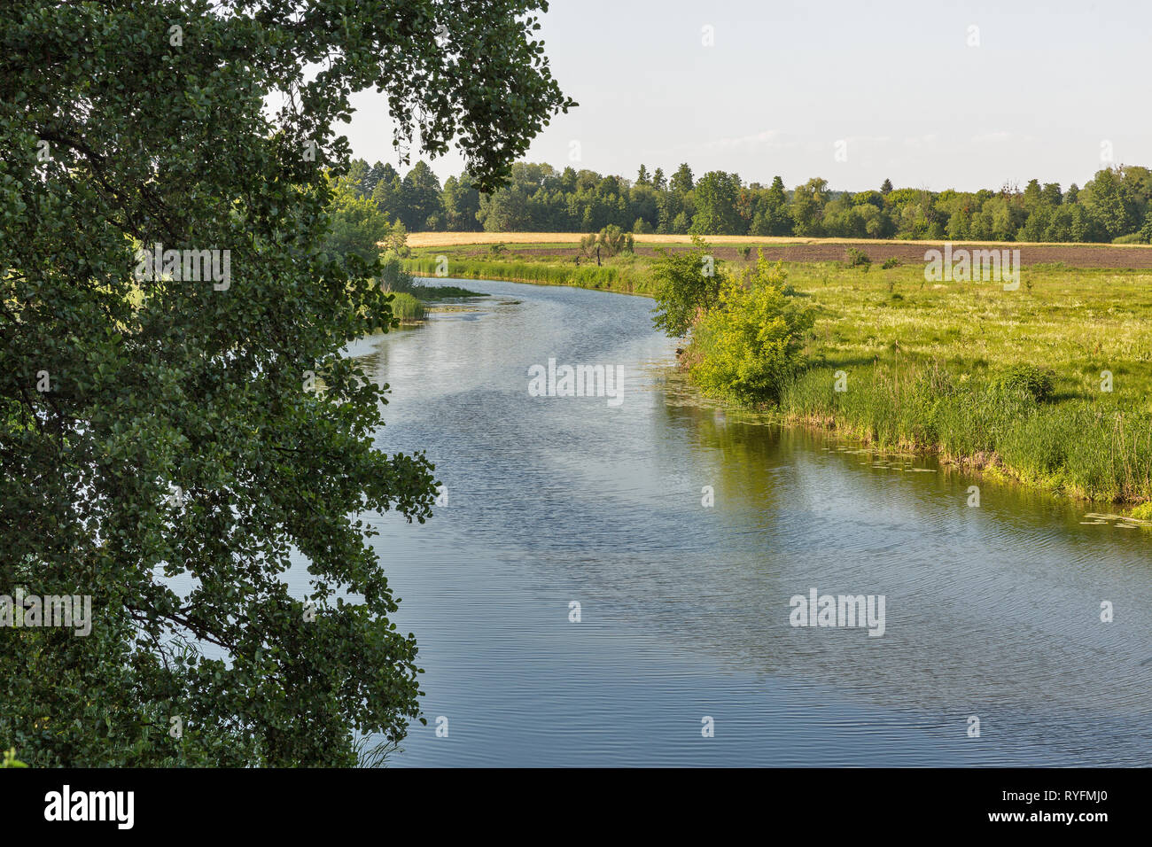 Estate fiume Ros paesaggio rurale, Ucraina Foto Stock