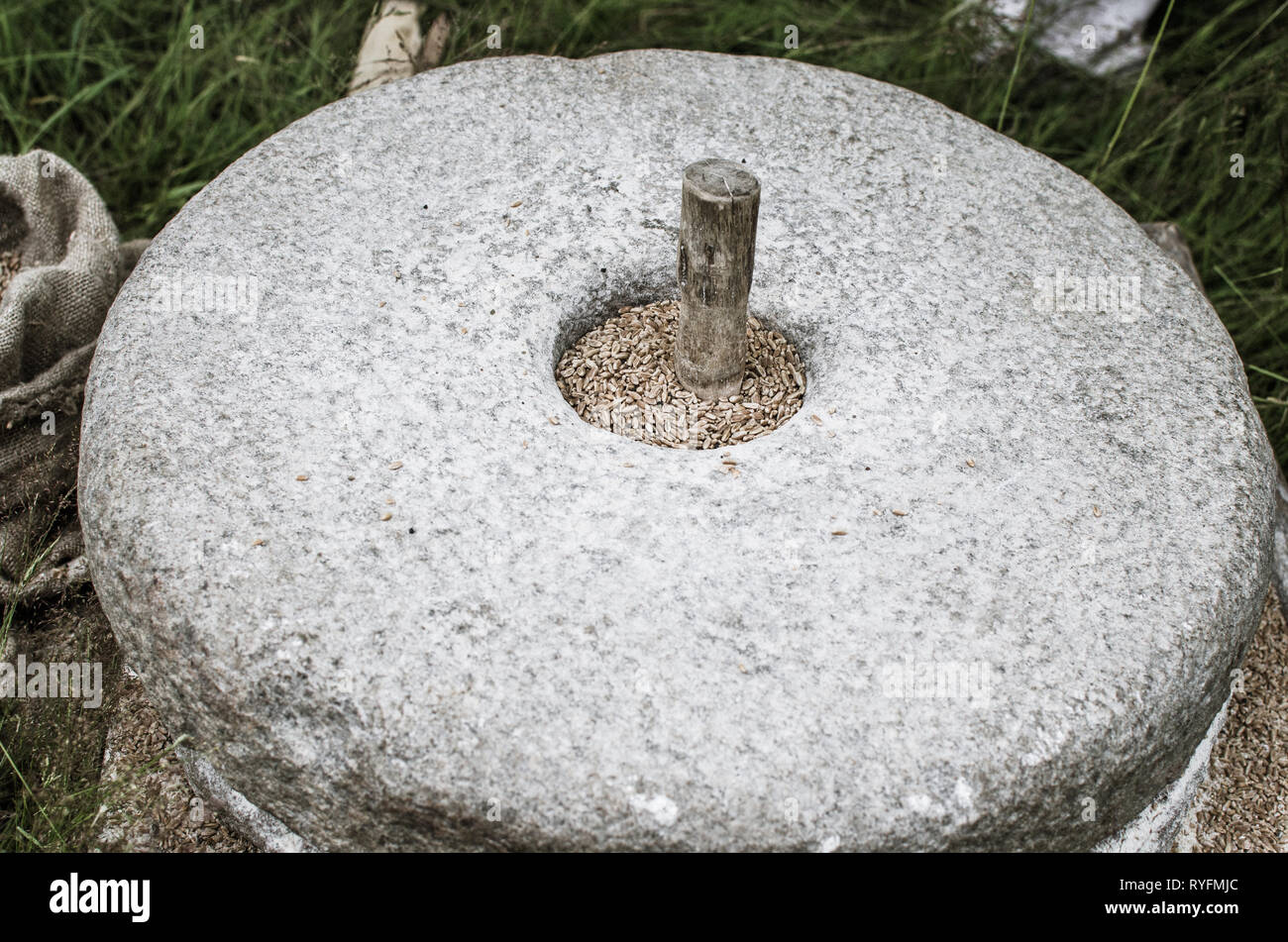 La pietra antica macina con grano. Medievale a mano azionato macina macinazione del grano. Vecchia pietra quern mulino a mano con grano. Foto Stock