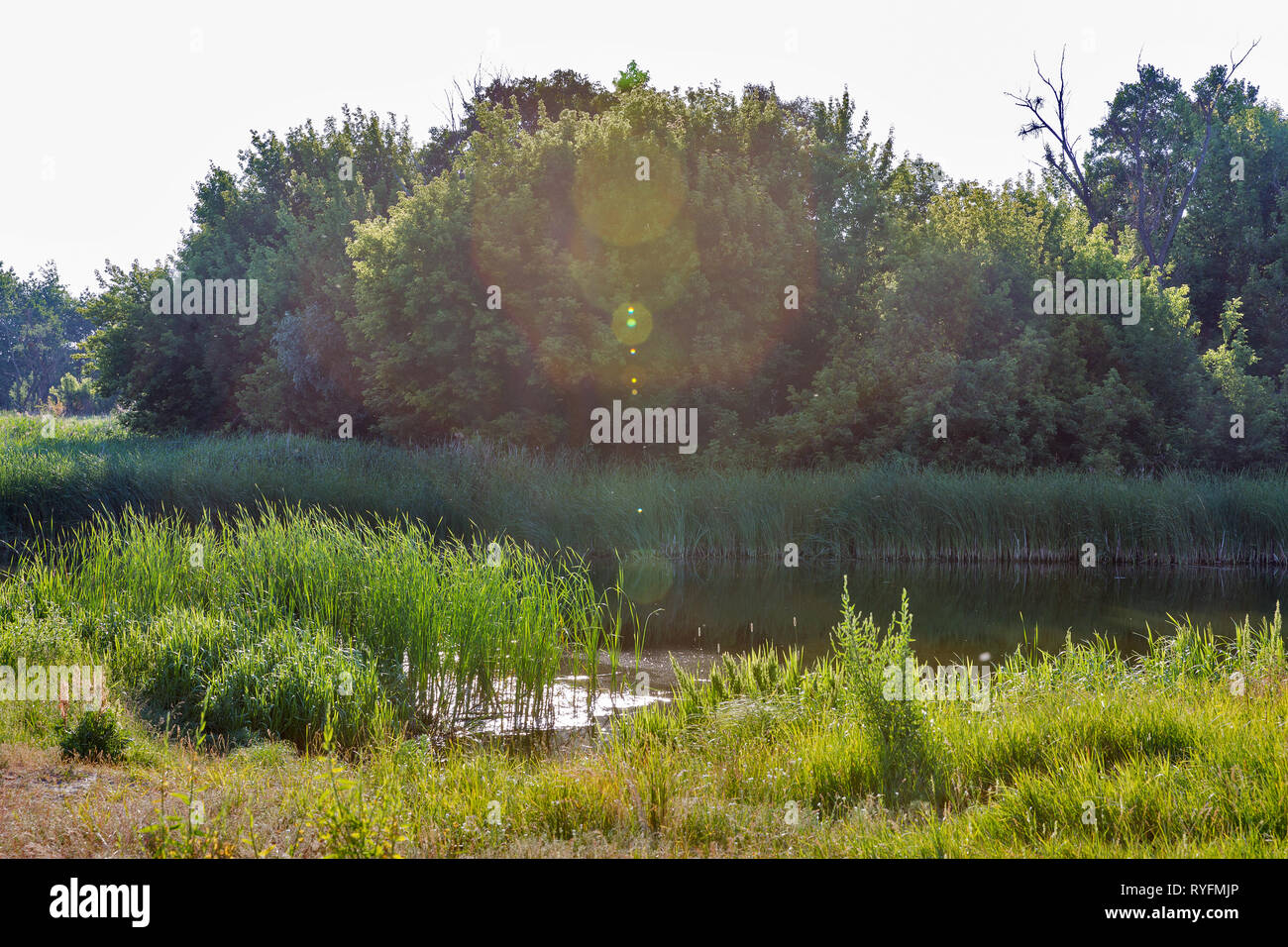 Estate fiume Ros paesaggio rurale con raggi di sole, Ucraina Foto Stock