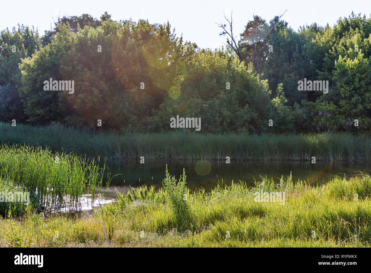Estate fiume Ros paesaggio rurale con raggi di sole, Ucraina Foto Stock